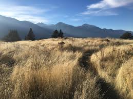 Maybe you would like to learn more about one of these? Things To Do In Joseph Oregon