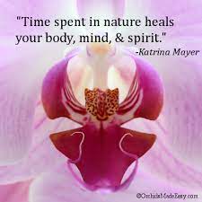 Orchid Flower Quotes Best Flower Wallpaper