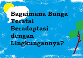 Check spelling or type a new query. Bagaimana Bunga Teratai Beradaptasi Dengan Lingkungannya Operator Sekolah