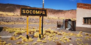 images?q=tbn:ANd9GcS2pJ9ZkObHBBMaE5gubwS1BBk1-Acp7WEKOQ&s