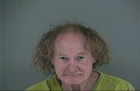 WEBB, LELAND SHAWN Charge: PROBATION VIOLATION This information and more is  available at https://www.ace911isoms.com:9000/Jail?hours=24