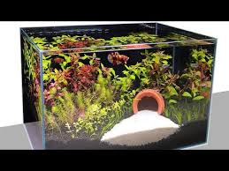Step By Step Making Aquascape Dutch Style Diy Aquarium Decoration Ideas Have Filter No Co2 At Home Youtube Aquarium Decorations Diy Aquarium Aquascape