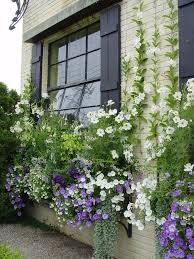 Diese Fensterkasten Und Ranken Die An Der Wand Wachsen Sind So Schon Detroit Garde Ideen Fur Garten Window Box Plants Window Box Garden Window Box