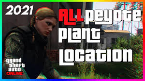 All Peyote Plant Locations Gta 5 Online 2021 Youtube