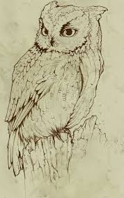 Pin By Susan Carrell On Owl Sketches Owls Drawing Bird Art Bird Drawings