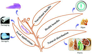 Check spelling or type a new query. Mucilage As A Functional Food Hydrocolloid Ongoing And Potential Applications In Prebiotics And Nutraceuticals Food Function Rsc Publishing