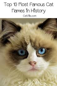 If you would like to name your cat after a witch or warlock if it's a boy, there's inspiration to be found from famous magical characters in literature, movies, legends and video games. Top 10 Most Famous Cat Names In History Cat Names Cute Cat Names Girl Cat Names