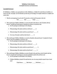 In codominance, both alleles can be seen in the incomplete dominance can be seen in many other physical characteristics such as skin color, height answer to question #2. Incomplete Dominance And Codominance Worksheet 2 0 By Jeffrey Deblase