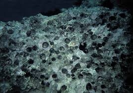 Castellammare del golfo (casteḍḍammari in siciliano) è un comune italiano di 14 614 abitanti del libero consorzio comunale di trapani in sicilia. I Datteri Di Mare Lithophaga Lithophaga