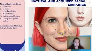 Armature Choice Reveal