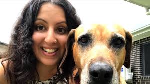 Abused Townsville dog finds forever home with help of RSPCA