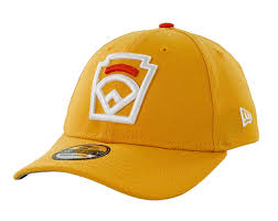 Image result for Yellow 2018 Fleet