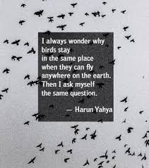 Harun Yahya Images On Favim Com