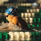 University of West Florida Women's Swimming and event image
