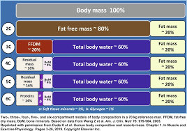 Image result for Body Composition Changes with Aging