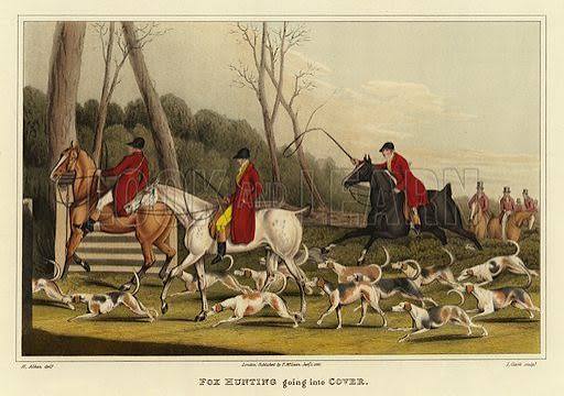 Fox Hunting going into Cover stock image | Look and Learn
