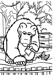 Akruti on september 26, 2019. Masha And The Bear Put Carrot Seed To Hole Coloring Pages Color Luna