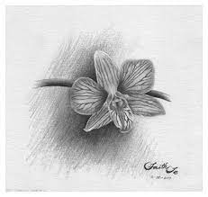 Ask Com Www Artisticrealism Com Flower Sketch Pencil Flower Drawing Realistic Flower Drawing