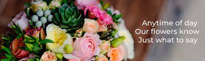 Check spelling or type a new query. Aberfoyle Hub Florist First Choice Flowers 08 8270 1811