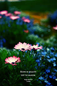 Time For Stillness Nature Quotes Beautiful Nature Flower Quotes