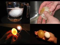 شاهد مذا يحدث اذا وضع البيض في البيبسي Youtube