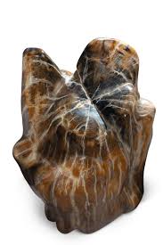 Also known as opal wood or petrified wood. Indonesian Petrified Wood Petrified Wood Turn To Stone History Of Science
