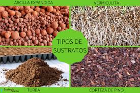 Sin embargo, hay varias especies que lo toleran, como gasteria o sansevieria. 12 Tipos De Sustratos Nombres Fotos Clasificacion Y Caracteristicas