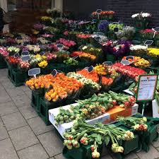 Frische schnittblumen und sträuße aus holland von oranje blumen. Oranje Blumen Blumenladen In Heilbronn
