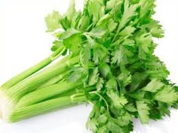 Check spelling or type a new query. Daun Seledri Apium Graveolens Jenis Dan Manfaat Buah Pikiran