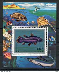 Entrainement des #coelacanthes au stade annexe mohamed v de casablanca arrivée #coelacanthe à casablanca pour le match contre les lions de l'atlas samedi 13 oct. Comoros Rc 6804 Comores Bf 11 Poissons Coelacanthe Bloc Feuillet Neuf Tb