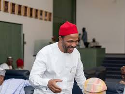 Restez curieux, restez à l'écoute ! No Court Stopped Emeka Nwajiuba From Contesting For House Poll Thisdaylive