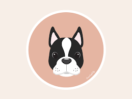 Boston Terrier Icon Boston Terrier Terrier Icon