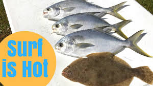 While all of these local fishing guides in gulf shores share the same body of water, they all use different techniques, equipment & experiment with different lures every day. Surf Fishing Is Hot Pompano Fishing Gulf Shores Alabama Youtube