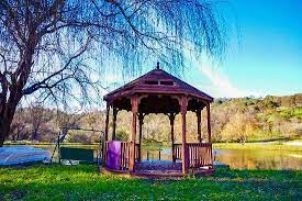 Maybe you would like to learn more about one of these? Sivananda Yoga Farm Bewertungen Fotos Grass Valley Kalifornien Tripadvisor