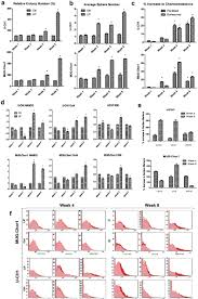 Check spelling or type a new query. Leukemia Inhibitory Factor Promotes Aggressiveness Of Chordoma Abstract Europe Pmc