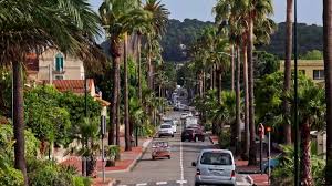 Des racines et des ailes. Replay Des Racines Et Des Ailes Des Racines Et Des Ailes Il Faut Sauver Les Palmiers Du France 3