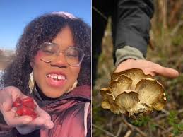 Expert Tips for Identifying What's OK to Eat When Foraging for Food