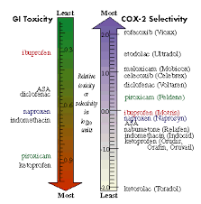 Selective Cox 2 Inhibitors Are They Safer Nsaids