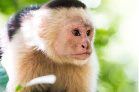 Uncategorised Archives