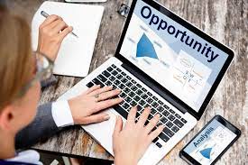 Why is a Business Opportunity Important? - Plimpton Project