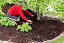 The problem comes from the organic matter used in the. The Best Mulch Options For Your Landscaping Beds Bob Vila