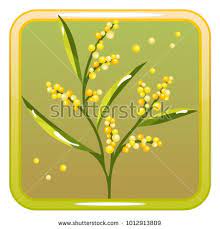 Vector Icon With Mimosa Flower Perfect For Game And App Icons Devoted To Floral Topic Mimosa Flower Vector Icons Vector