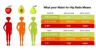 waist to hip ratio how to calculate 6 abdominal exercises