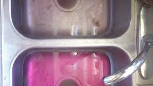 garbage disposal backing up into your