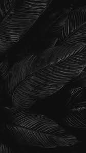 We have a lot of different topics like nature, abstract and a lot more. Whatsapp Dark Wallpapers Wallpaper Cave