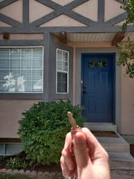 Start your project sooner with store pickup. Https Imgur Com Gallery Xwyv0tz Daily Https Imgur Com Qbysjqe Jpg Cue Every Australian Telling Bonkers Stories 2021 06 30t18 00 11 634z Https Imgur Com Gallery 9mw0vli Daily Https Imgur Com Spvvqlk Jpg Source Wikipedia Https Imgur Com