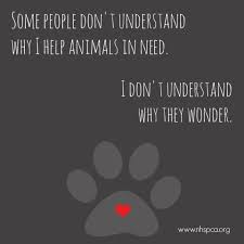 Some People Don T Understand Why I Help Animals In Need I Don T Understand Why They Wonder Rescue Quotes Dog Quotes People Dont Understand