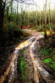Mont De Marsan Country Roads Landscape Road
