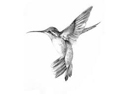 Jewel tones sparkle and contrast in breathtaking ways that will ensure your piece stands out. Hummingbird Hummingbird Tattoo Black White Bird Tattoos Hummingbird Tattoo