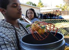 Tanya Peralez's Instagram, Twitter & Facebook